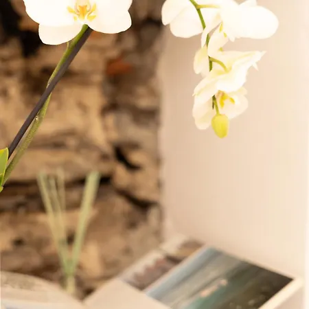 Belvedere 237a Lakeview Luxury Appartement *